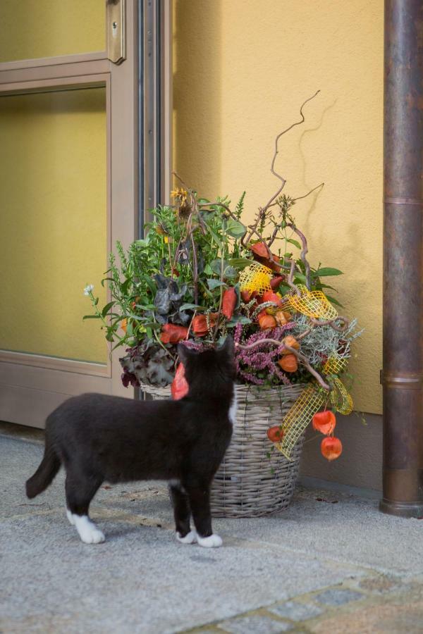 Pension Raupennest Mit Blockhaussauna Bautzen Esterno foto